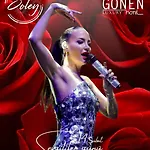 호텔 Gonen 5*